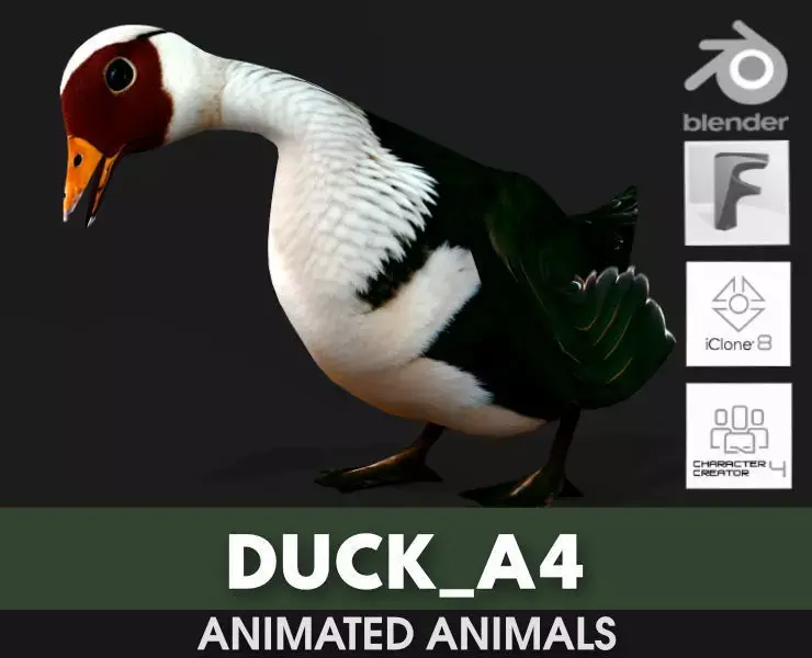 Duck A4 3D model