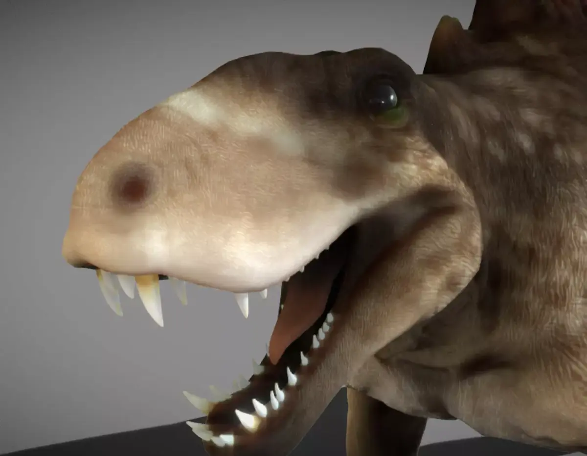 Dimetrodon  Realistic 3D Prehistoric Synapsid Low-poly 3D model