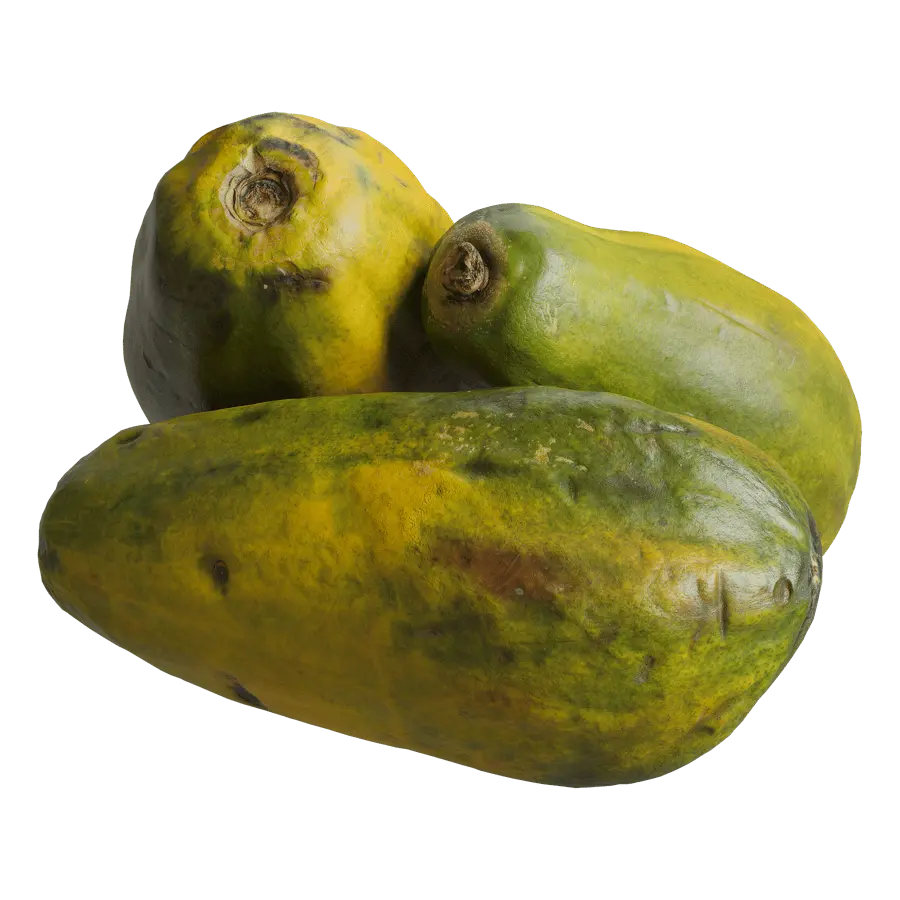  Papaya Models  buy