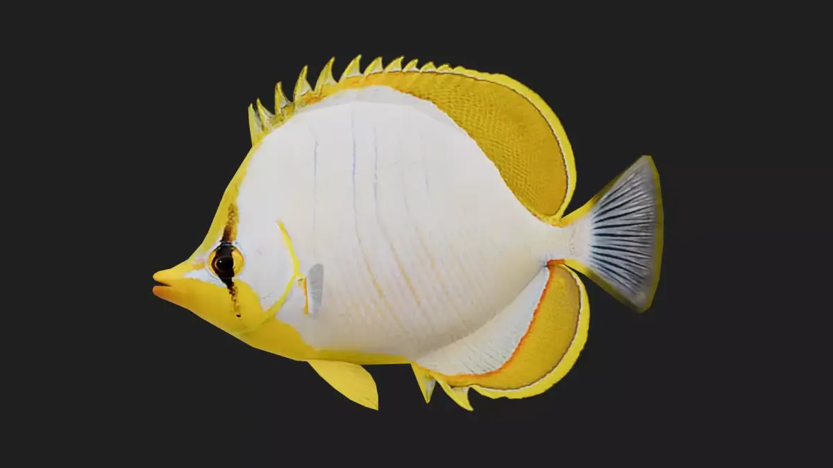 Butterflyfish Low-poly 3D model get