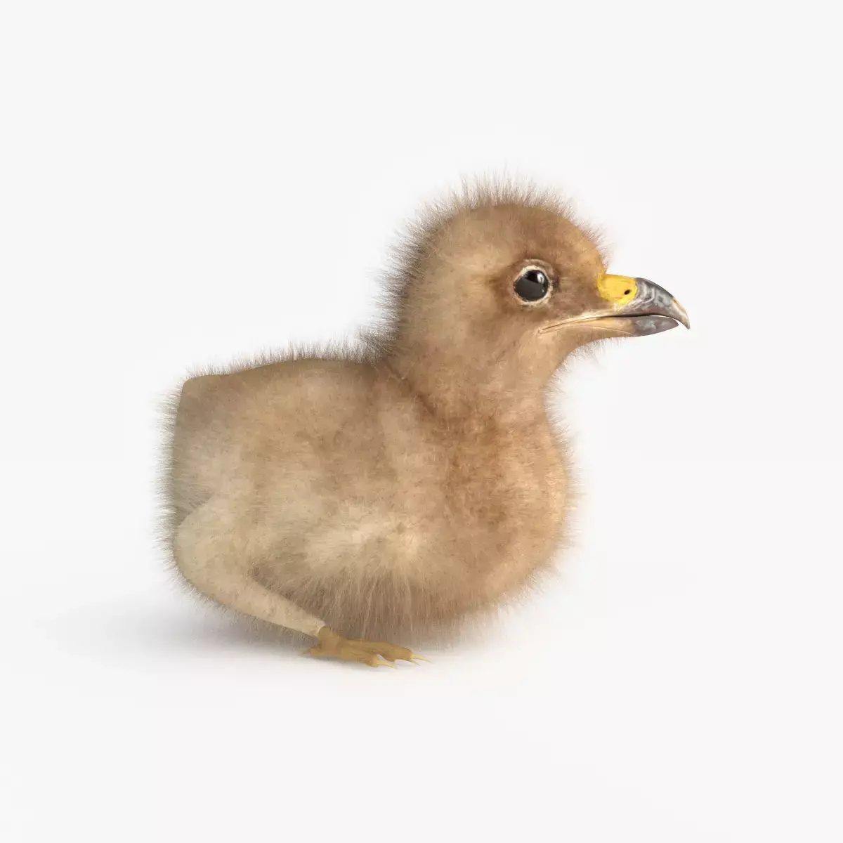  3D Baby Eagle 3D model