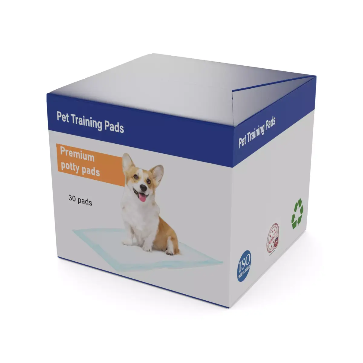 Pet accessories Pet Training Pads Low-poly 3D model buy