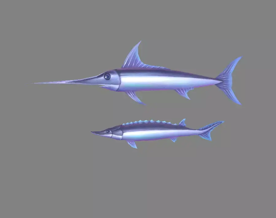 Cartoon fish - Xiphias gladius -marlin Low-poly 3D model