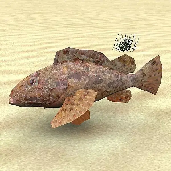 Skarpina - Scorpaena Scrofa Low-poly 3D model