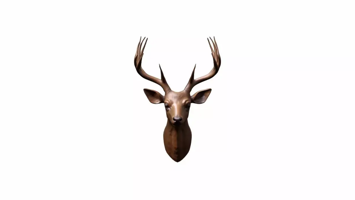  3d Render Close Up Of Red Deer Head 3D model purchase