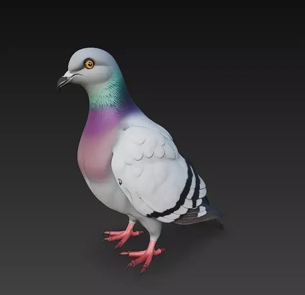 Pigeon  Realistic 3D Model Basic - Low Poly Realistic Low-poly 3D model