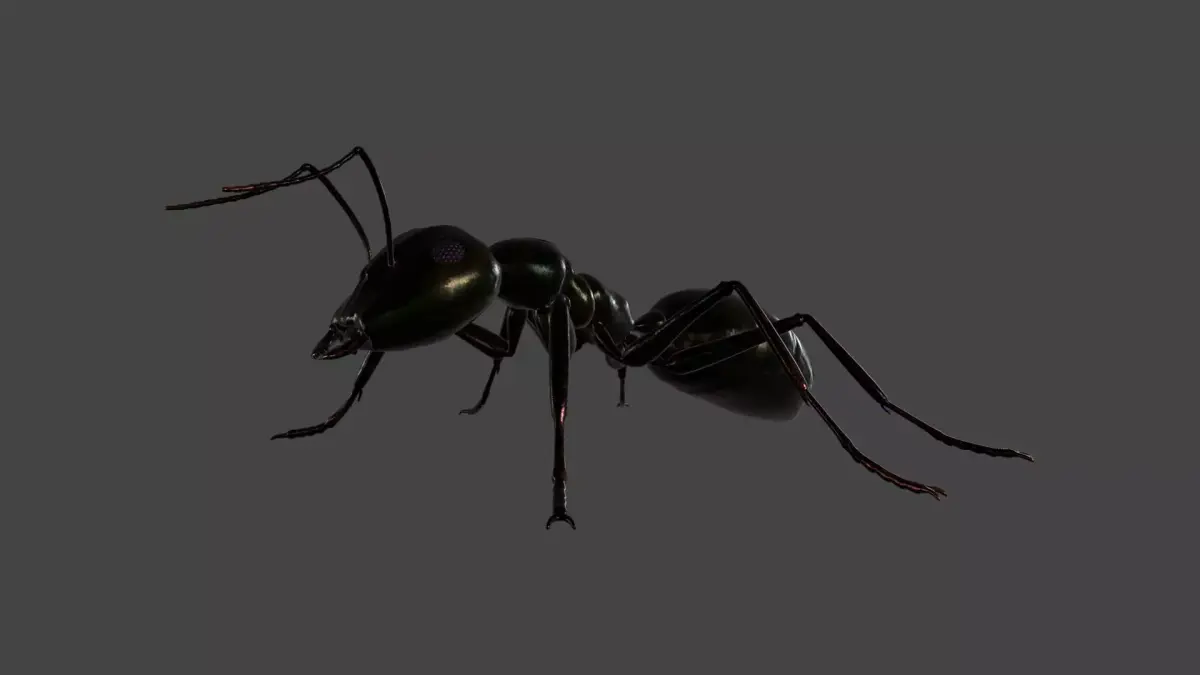 ANTS-002 Rigged Black Ant Low-poly 3D model
