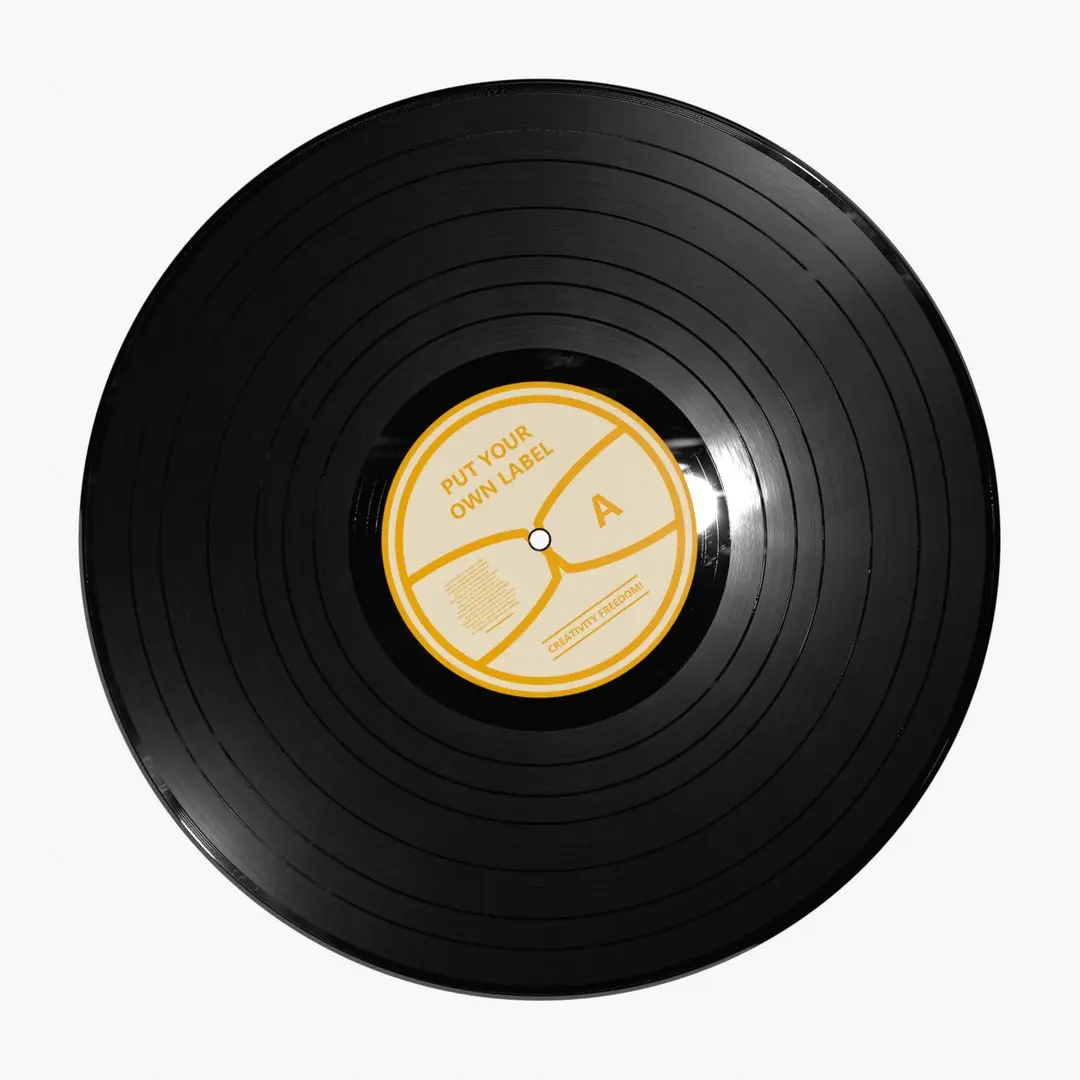 Vinyl Disc 3D model