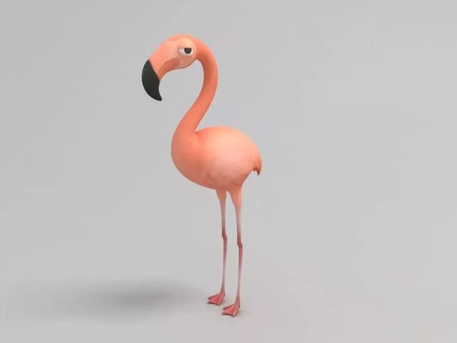 Flamingo 3D model 2