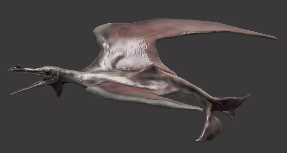 Terafin - prehistoric flying creature Low-poly 3D model