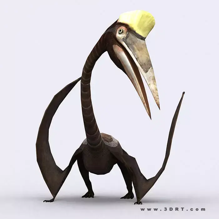 3DRT - Dinosaurs - Quetzalcoatlus Low-poly 3D model