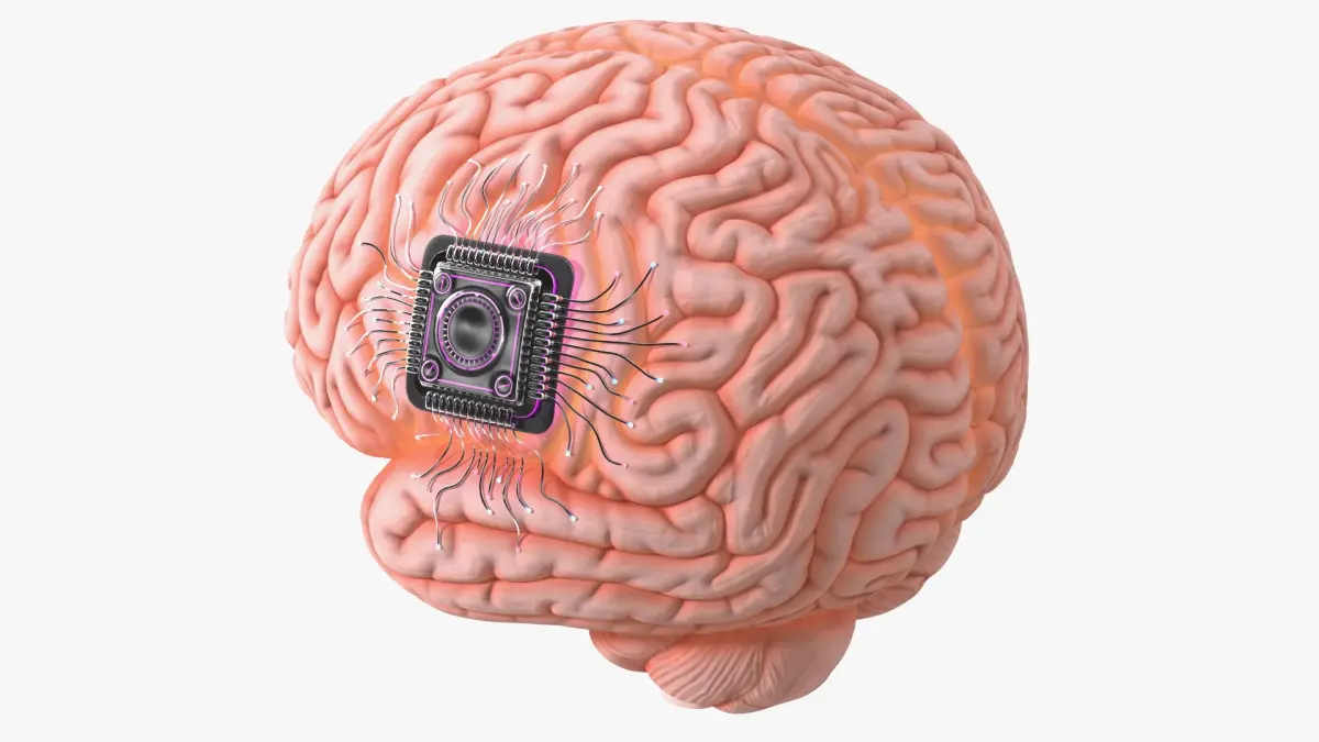 Human Brain with Microchip Implant with Light 3D model