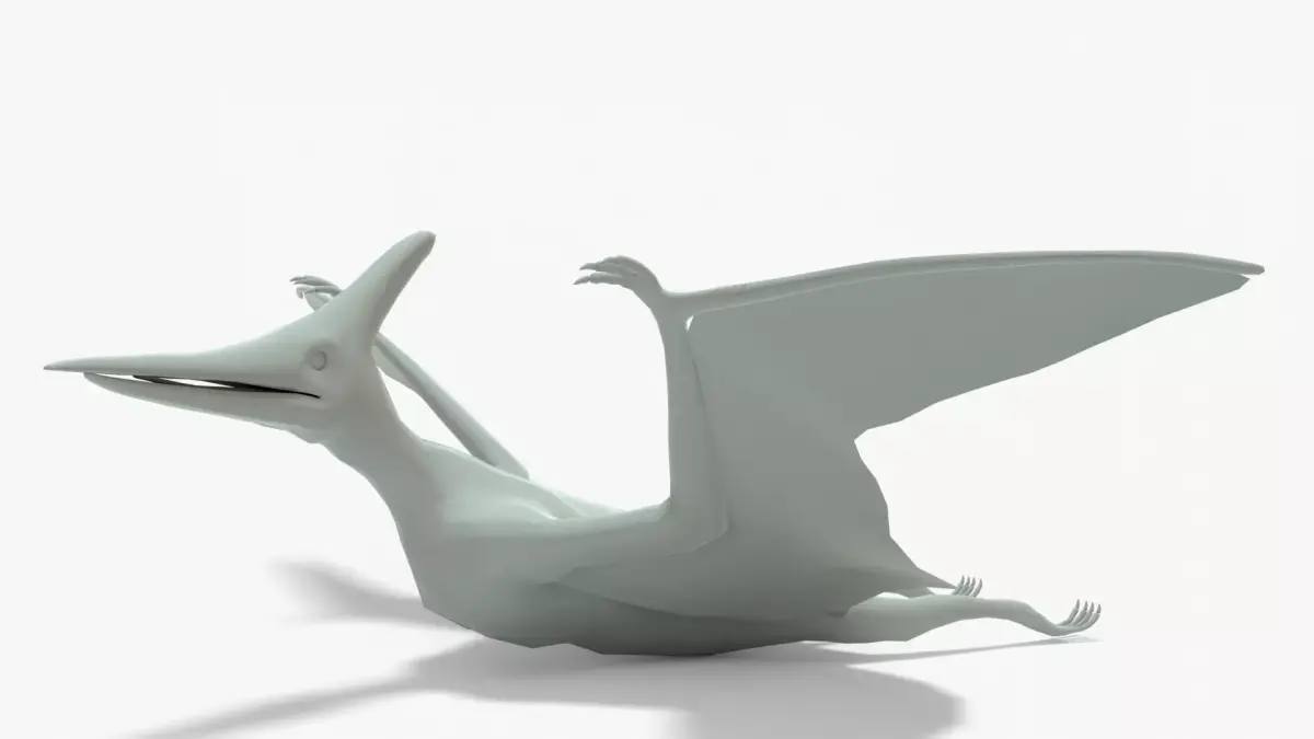 Pteranodon Rigged Basemesh Low-poly 3D model