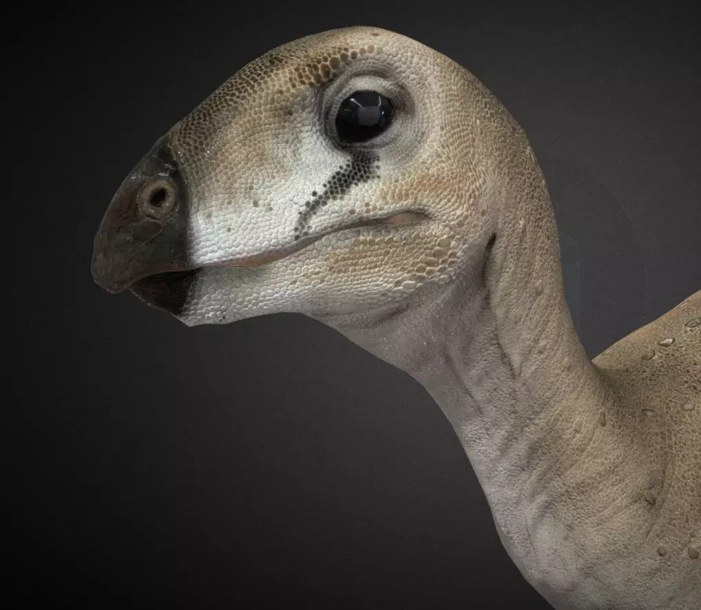 Hypsilophodon Foxii Low-poly 3D model