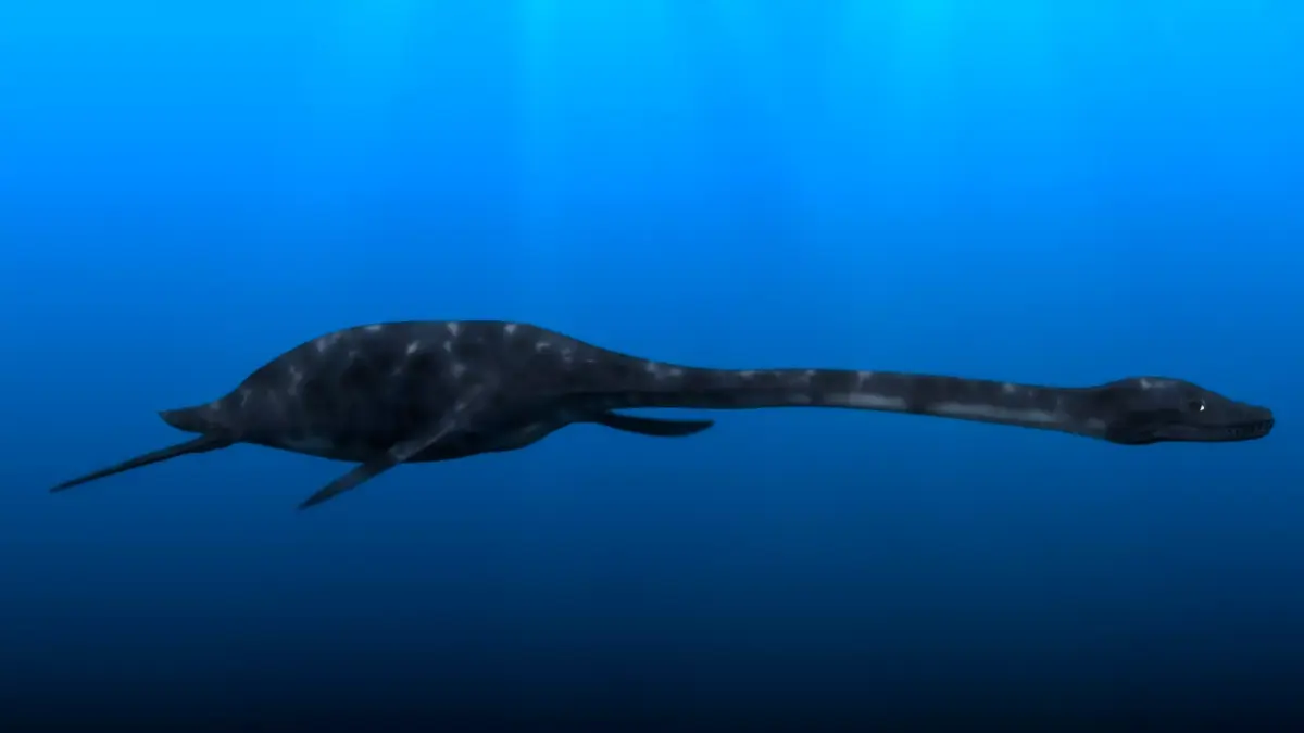 PLESIOSAURIO dinosaur swimming in ocean Low-poly 3D model
