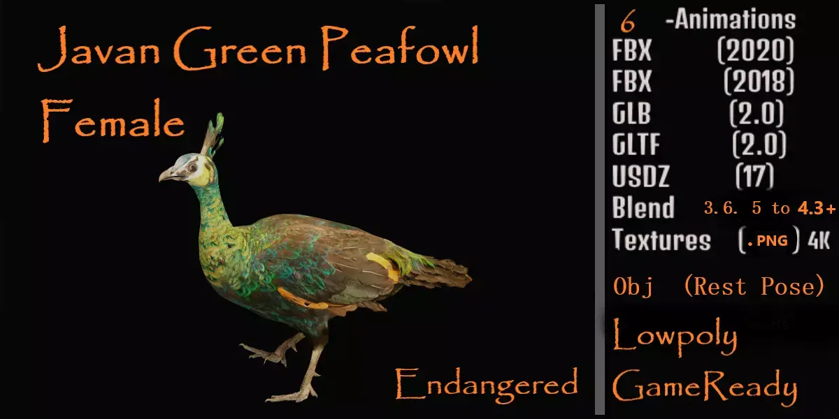 Green Peacock Bird Low-poly 3D model