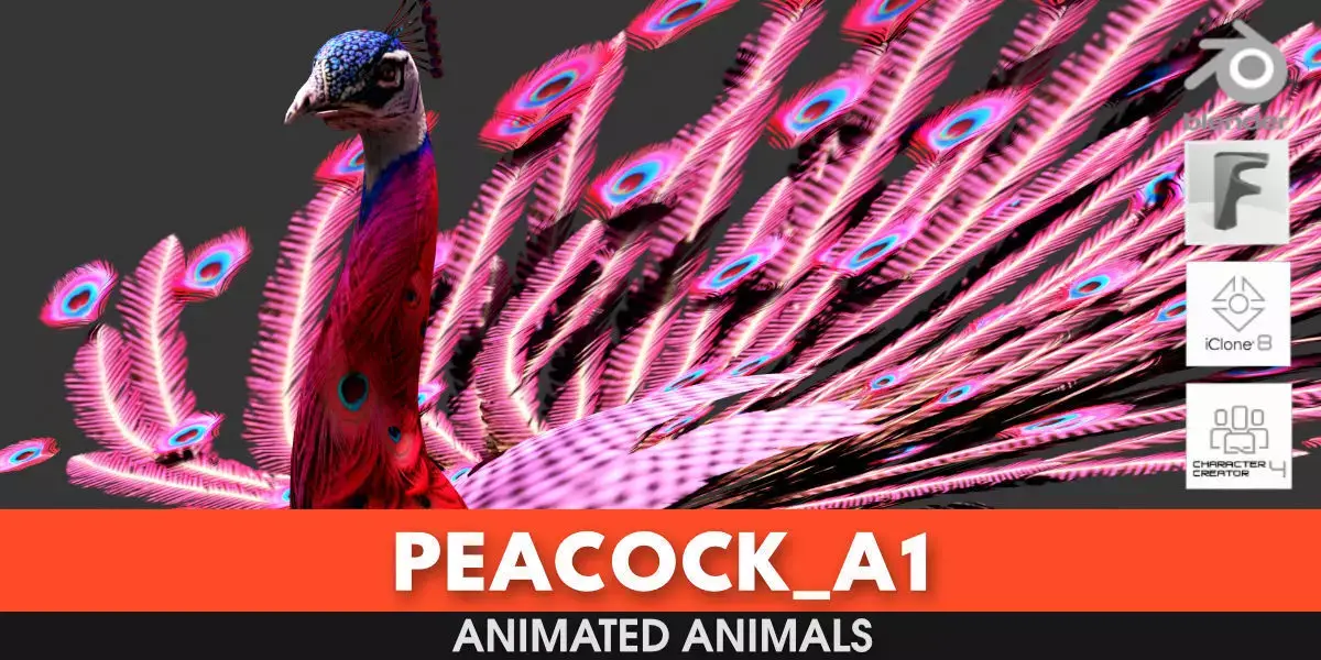 Peacock A1 3D model