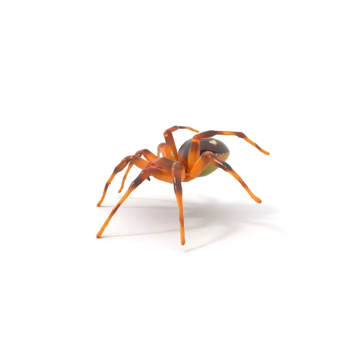 Spotted Spider Texture model pack Low-poly 3D model