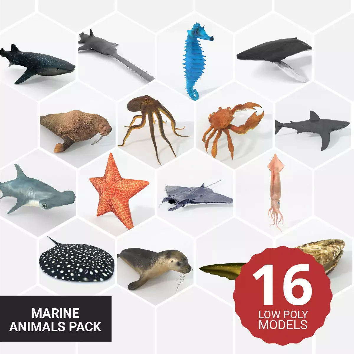 16 Marine Animals Pack - Colletion Low-poly 3D model