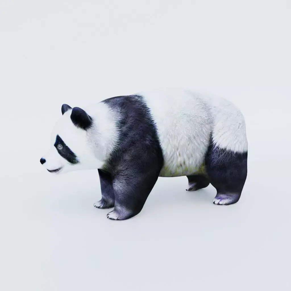 Panda Free 3D model buy