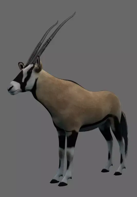 African Oryx Low-poly 3D model