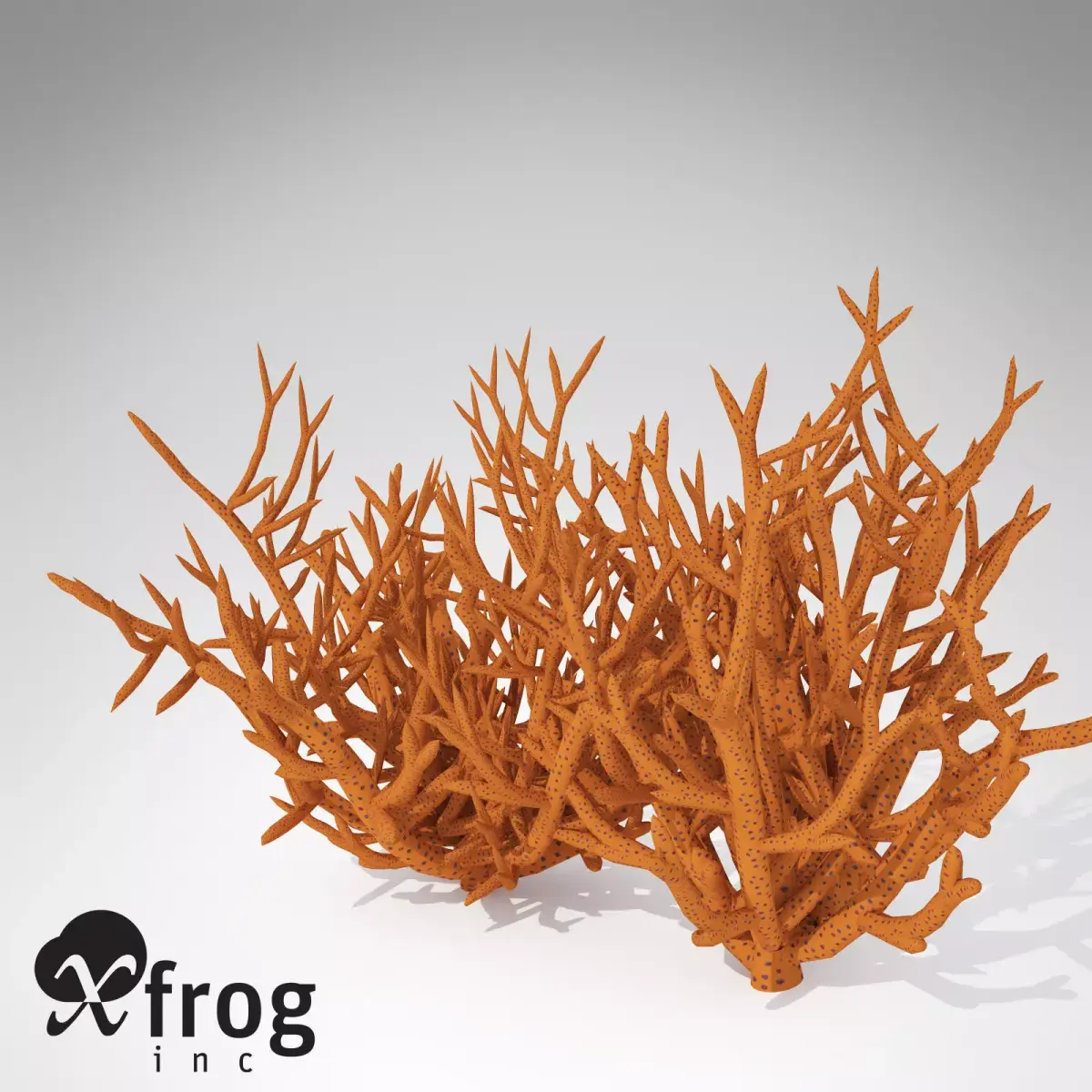 XfrogPlants Birds Nest Coral 3D model