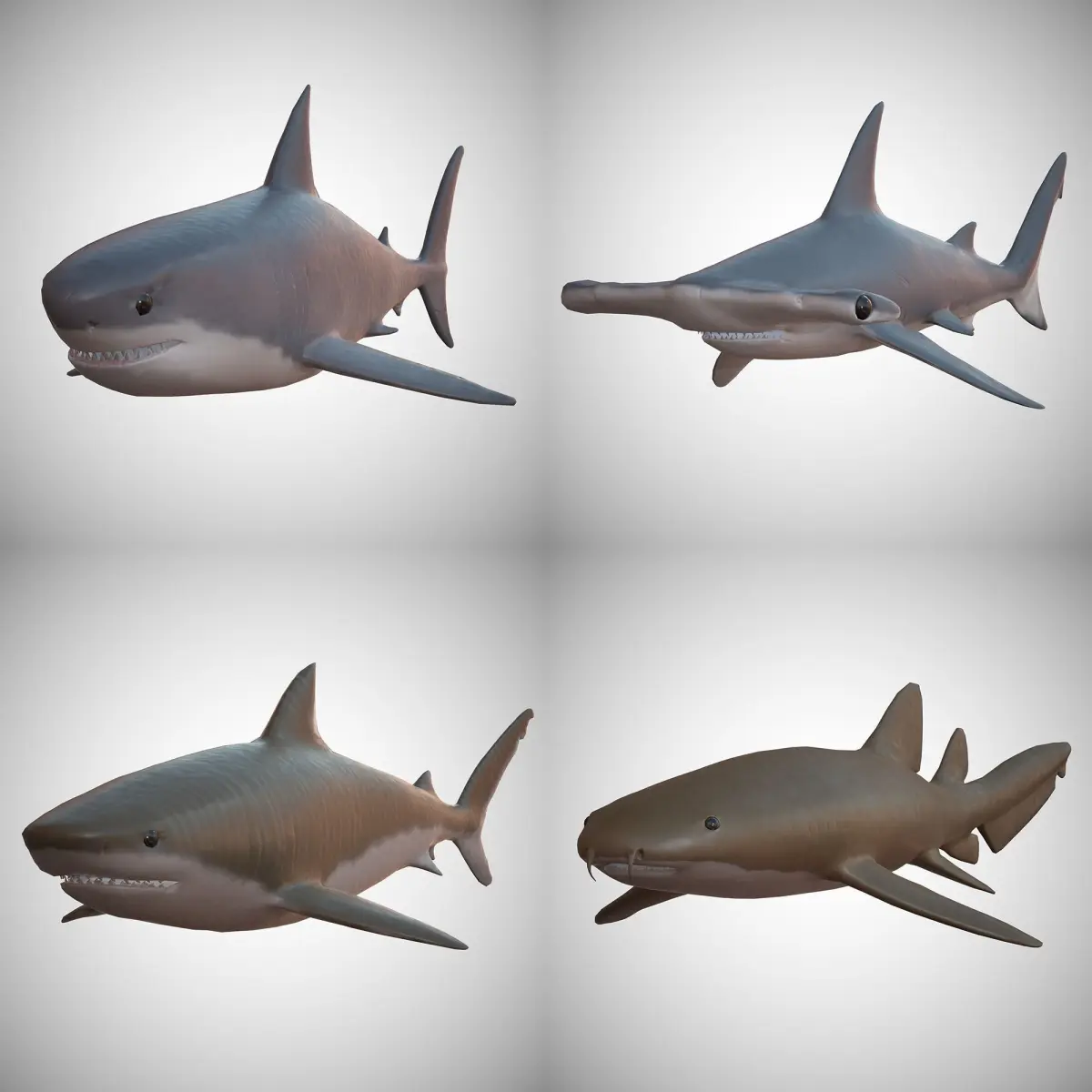 Sharks - 4 Pack Low-poly 3D model