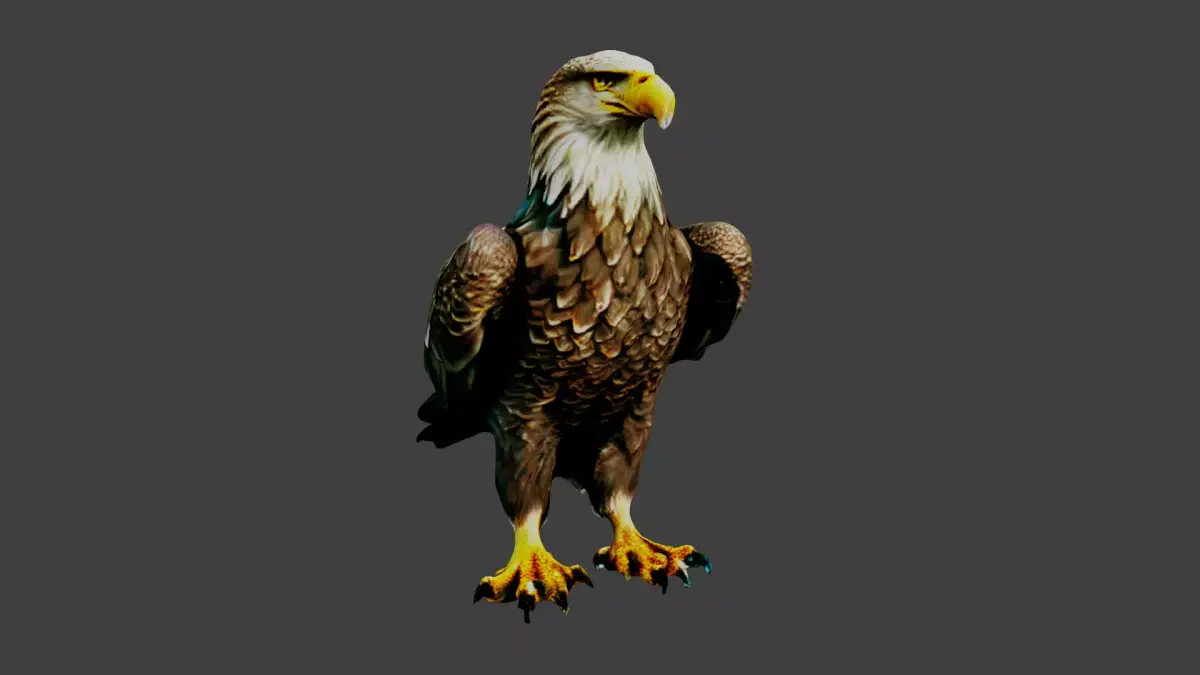 Eagle Low-poly 3D model buy