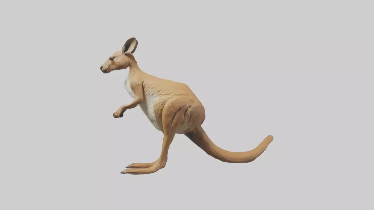 Kangaroo hopping model Low-poly 3D model
