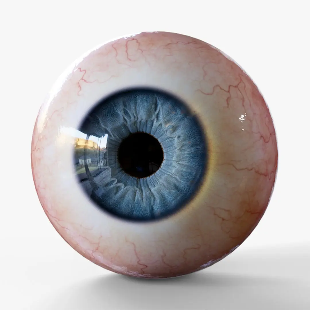Realistic Human Eye with customizable colors 3D model