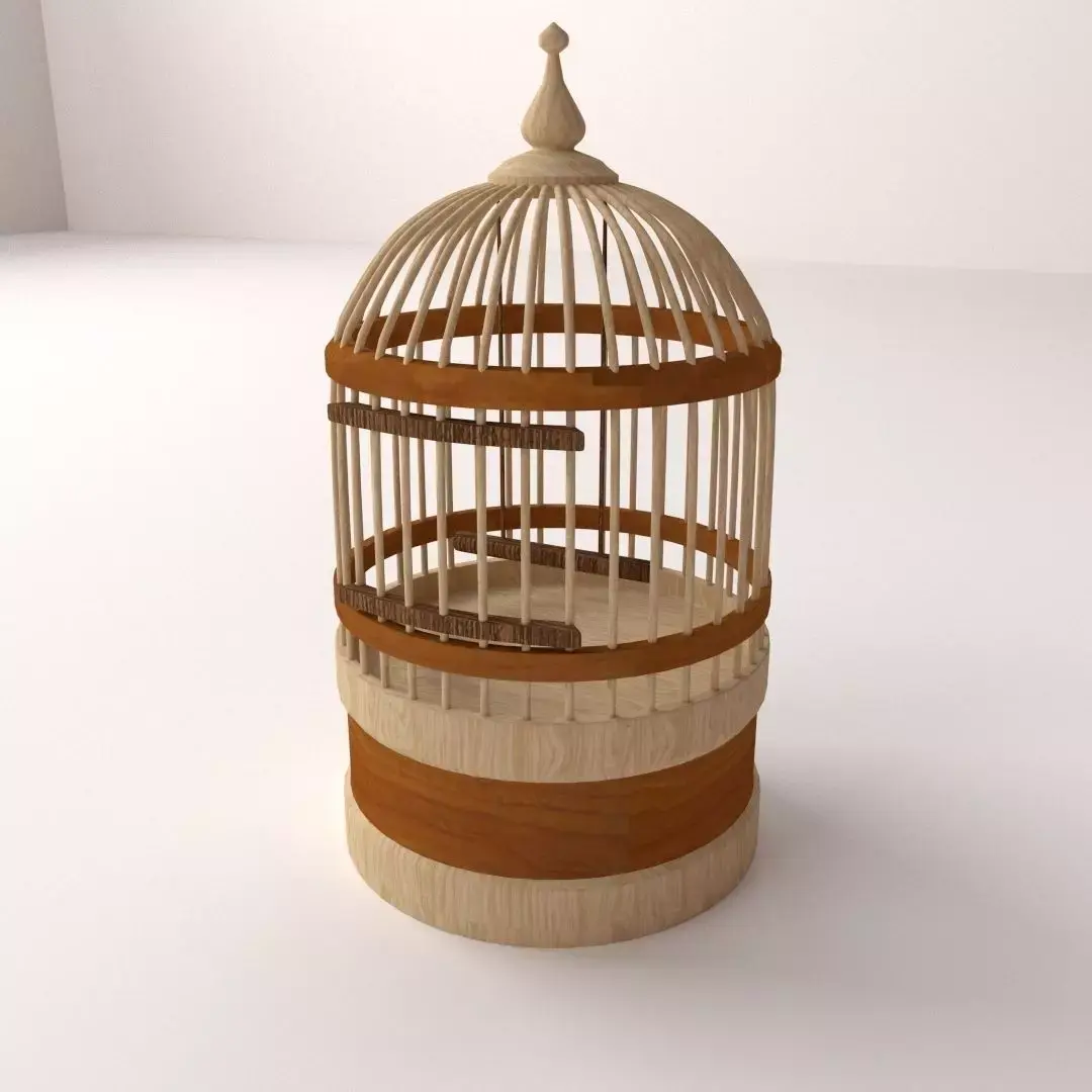Bird Cage 3D model 4