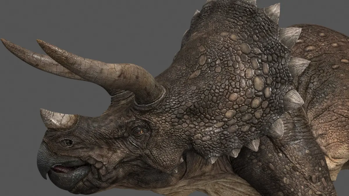 Triceratops-Maya 3D model