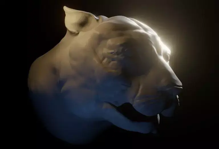 Tiger high poly sculpt Free 3D model