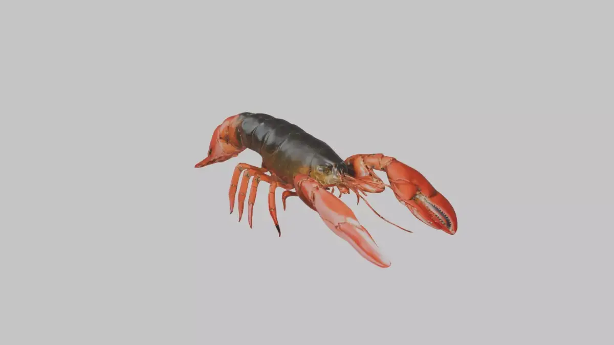 Lobster Low-poly 3D model purchase