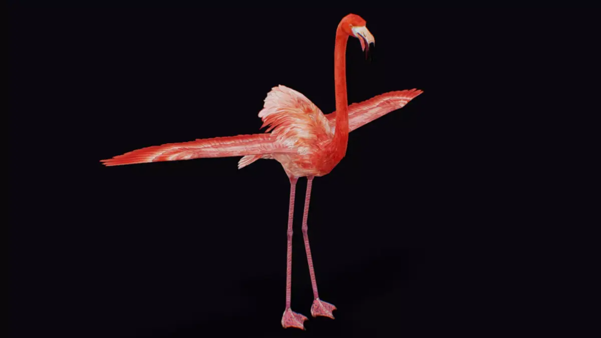 Flamingo American Caribbean Pink Bird Wild Exotic Animal  Low-poly 3D model
