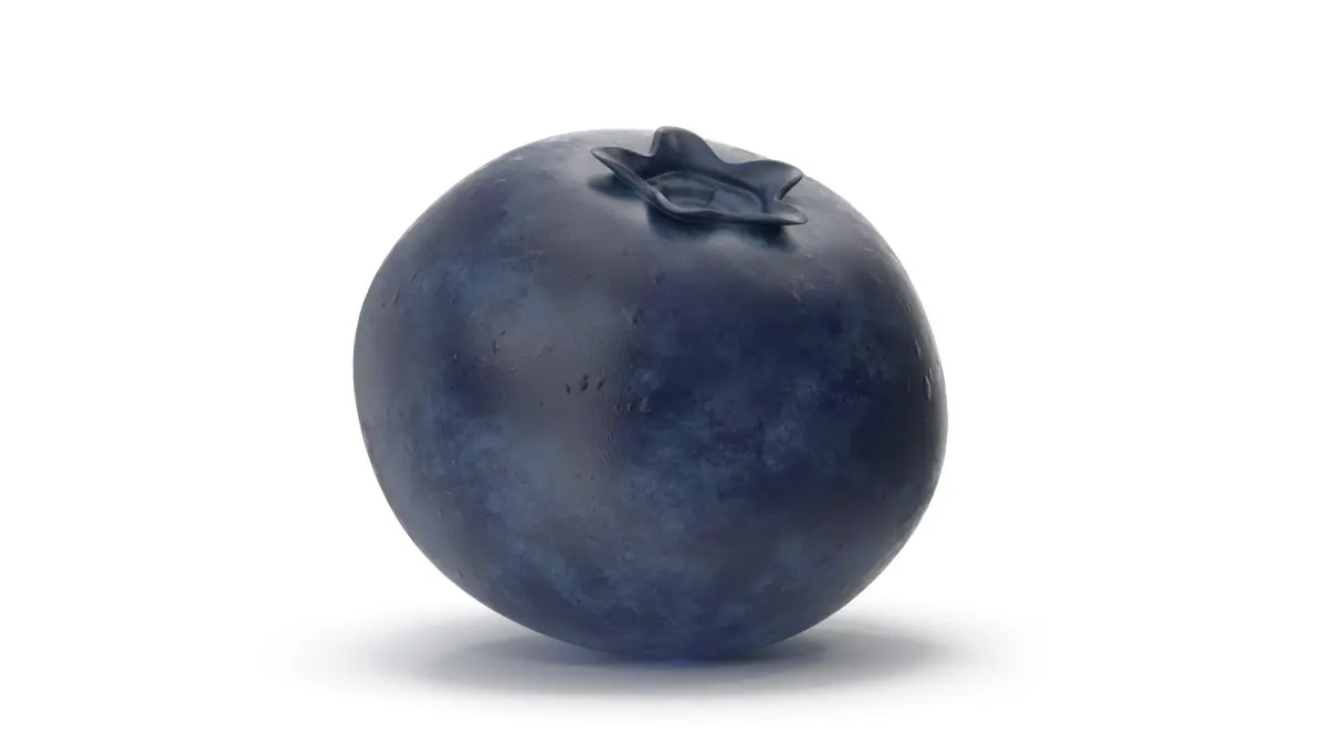 Blueberry 3D model