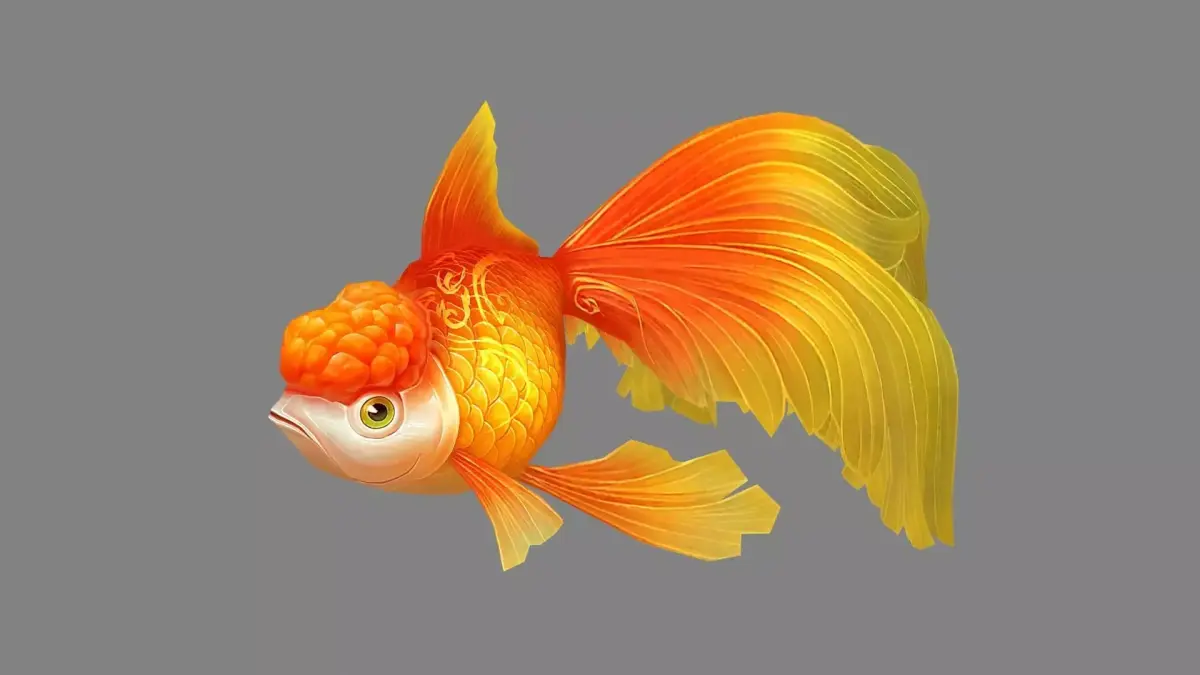 Cartoon ornamental koi fish Low-poly 3D model
