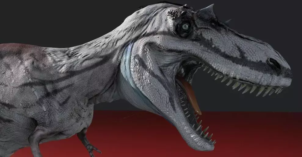 Albertosaurus t - rex 3D model