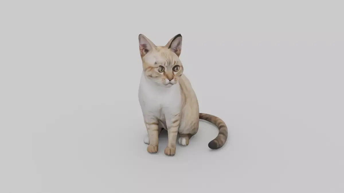 cute cat Low-poly 3D model