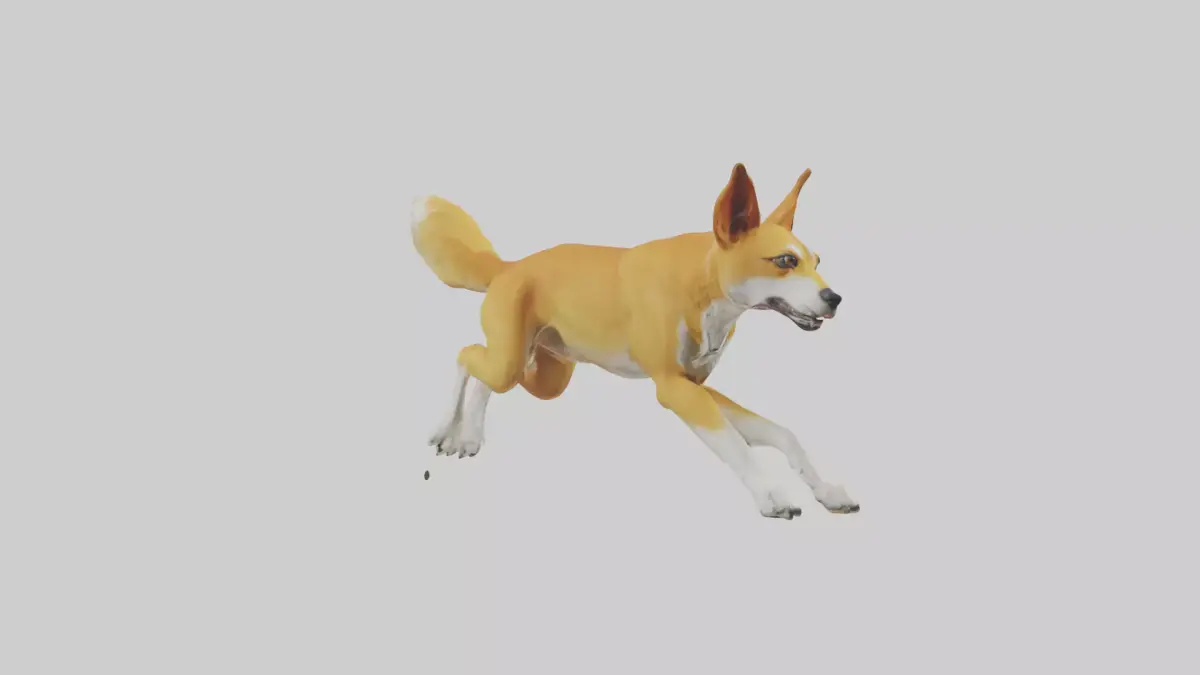 Dingo dog running model Low-poly 3D model