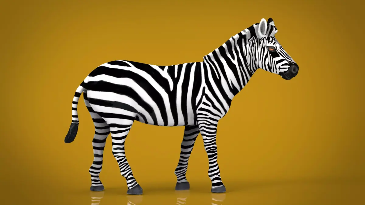 ZEBRA Low-poly 3D model purchase