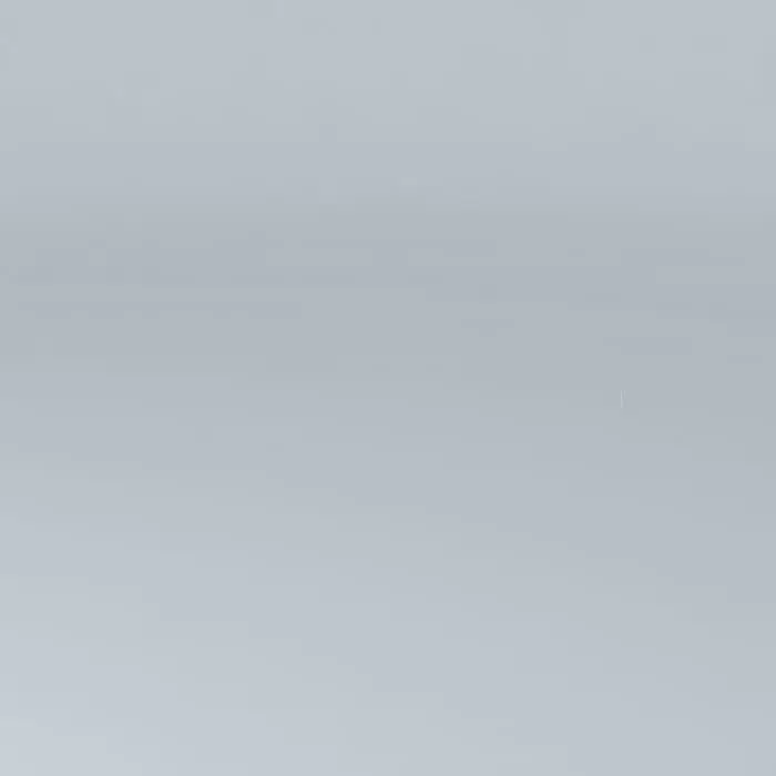 REGA base Belp-Bern Free 3D model