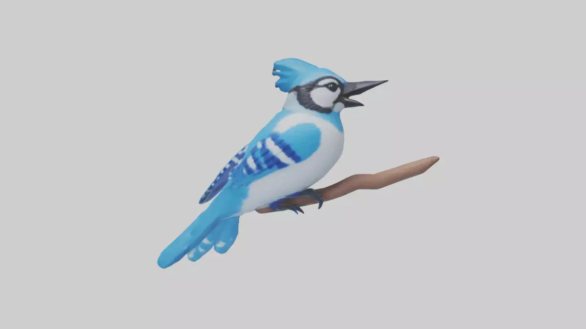 Blue Jay singing model Low-poly 3D model