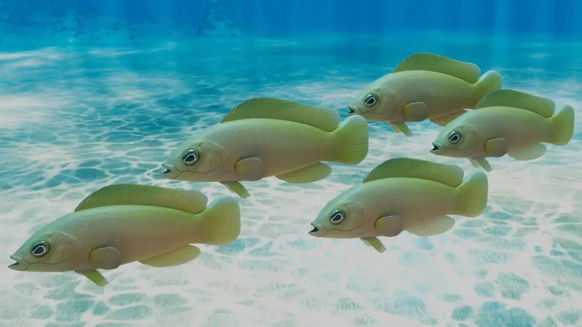 Yellow Dottyback Fish 3D model