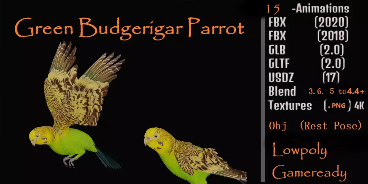 Budgerigar Parrot Bird Low-poly 3D model