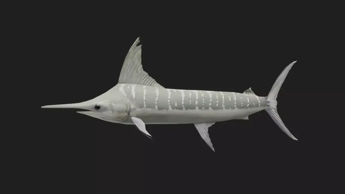 Marlin Low-poly 3D model buy