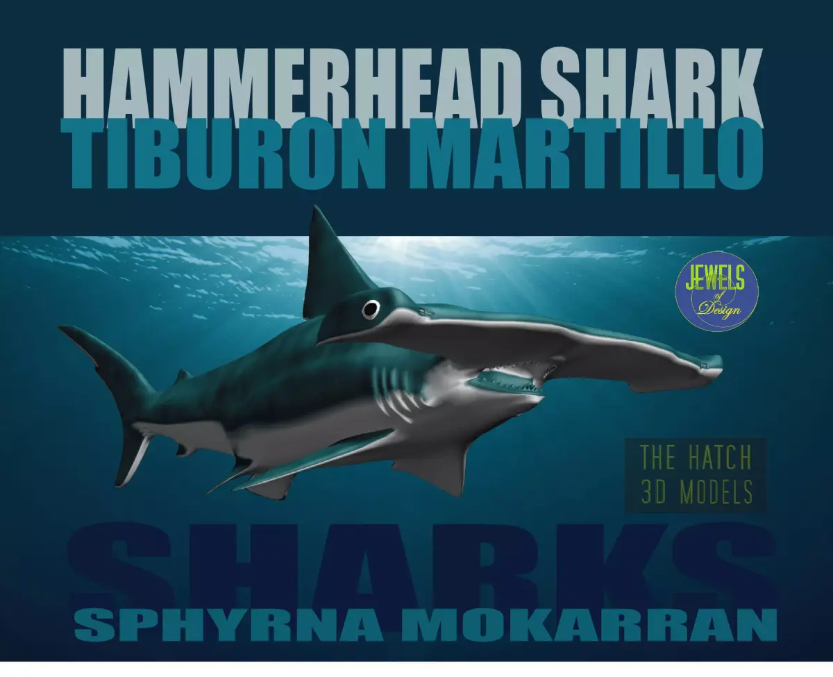 Hammerhead Shark 3D model get