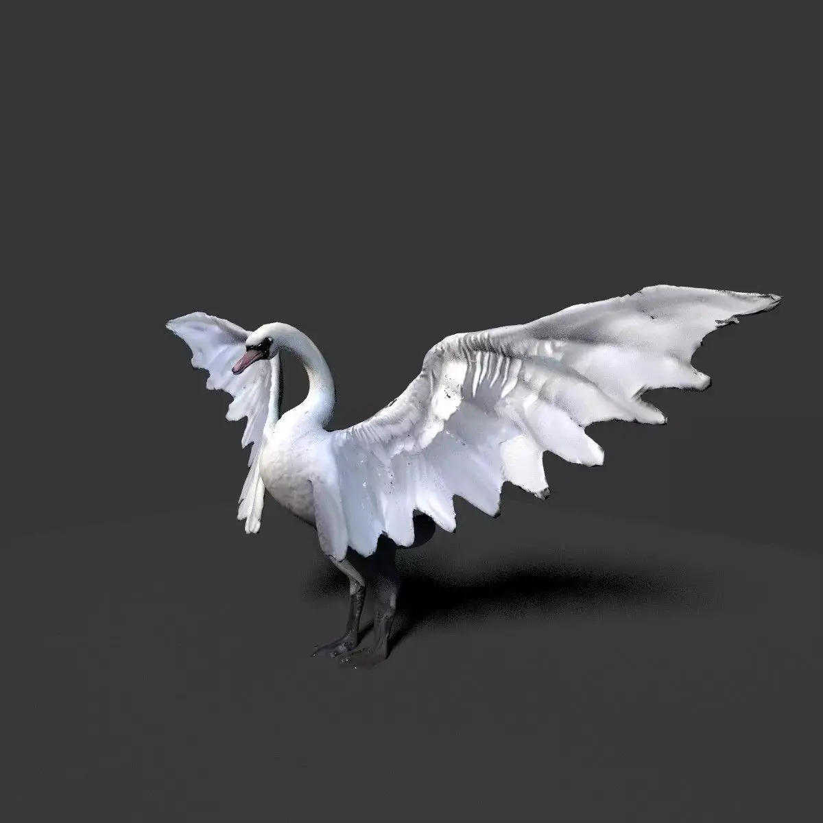 white swan  3D model