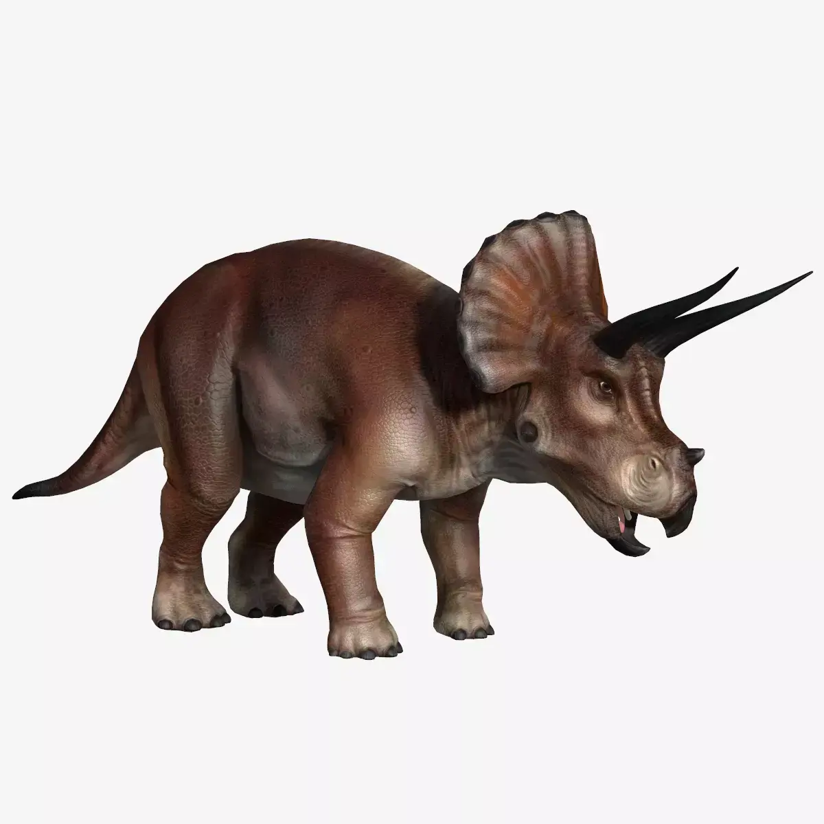 Triceratops dinosaur Low-poly 3D model 2