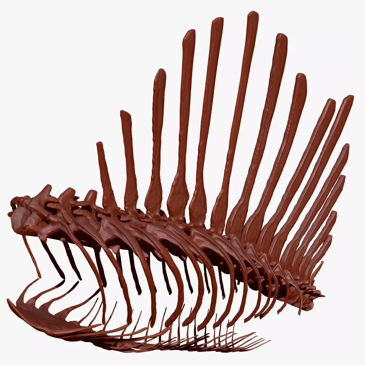 Dinosaur Spinosaurus Spine Ribs Skeletons Set 3D model
